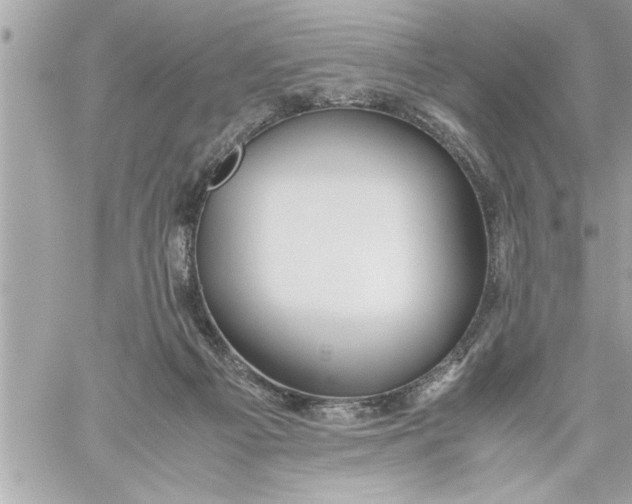 X0000059850121200511111821