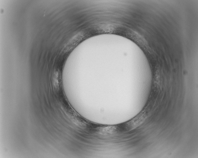 X0000059850122200511111821