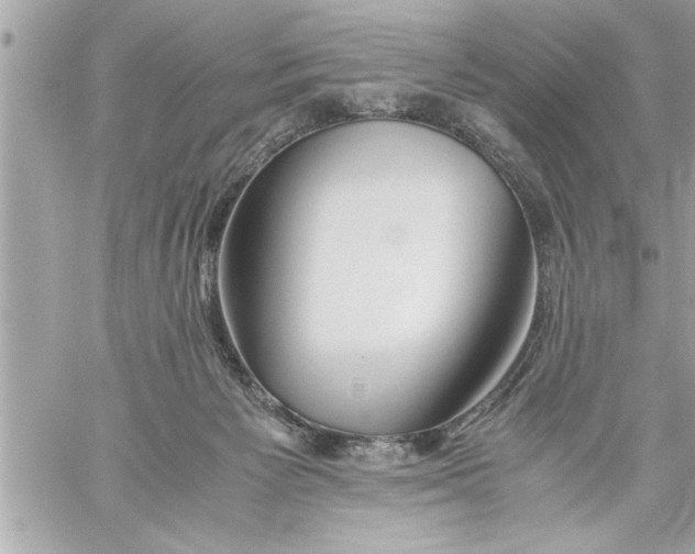 X0000059850125200511111821