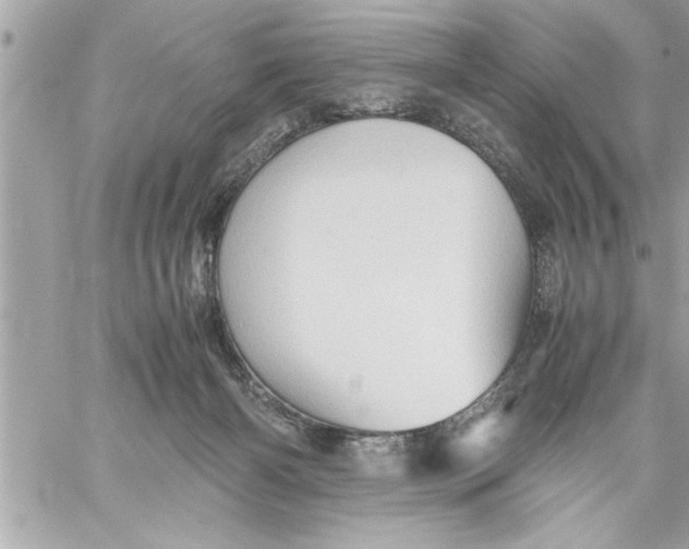 X0000059850126200511111821