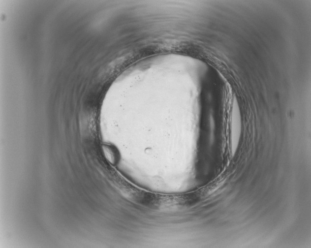 X0000059850127200511111821