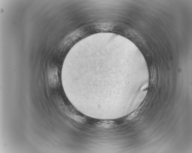 X0000059850128200511111821