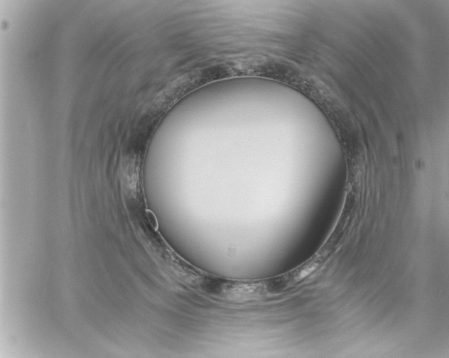 X0000059850129200511111821