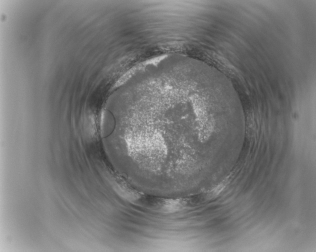 X0000059850130200511111821