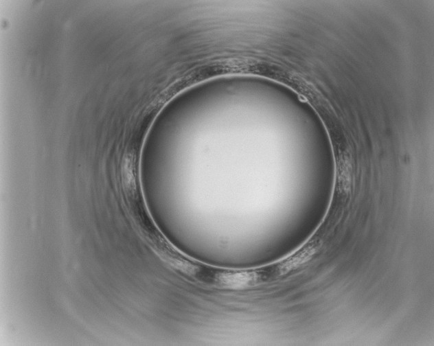 X0000059850131200511111821