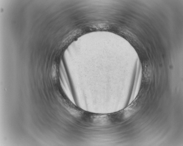 X0000059850132200511111821