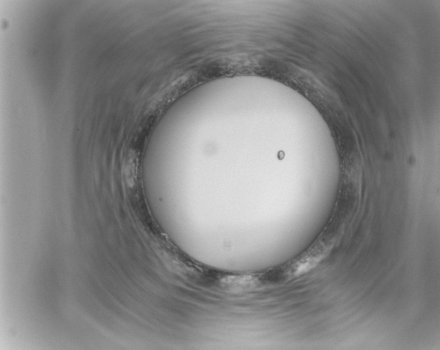 X0000059850133200511111821