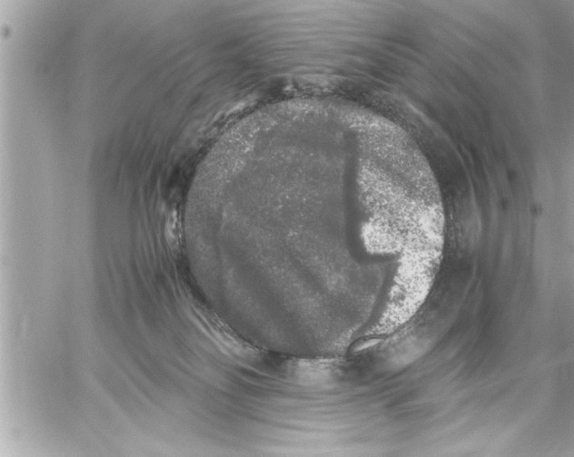 X0000059850134200511111821