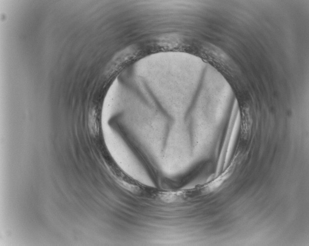 X0000059850136200511111821