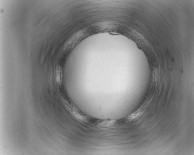 X0000059850138200511111821