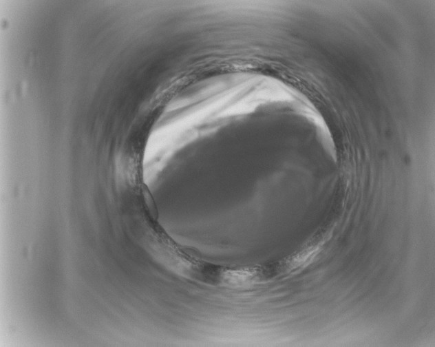 X0000059850139200511111821