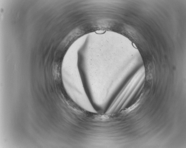 X0000059850140200511111821