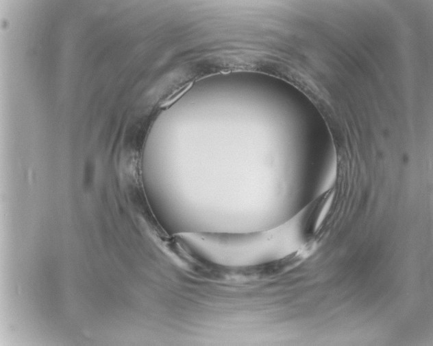 X0000059850141200511111821