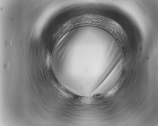 X0000059850142200511111821