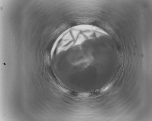 X0000059850143200511111821