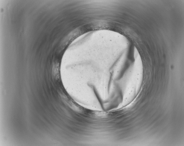 X0000059850144200511111821