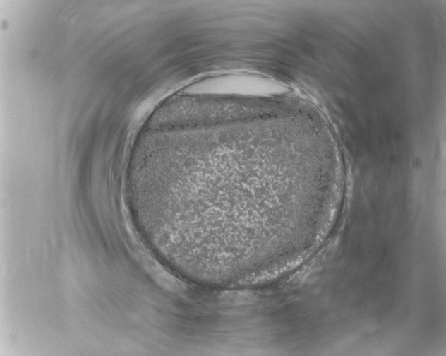 X0000059850145200511111820