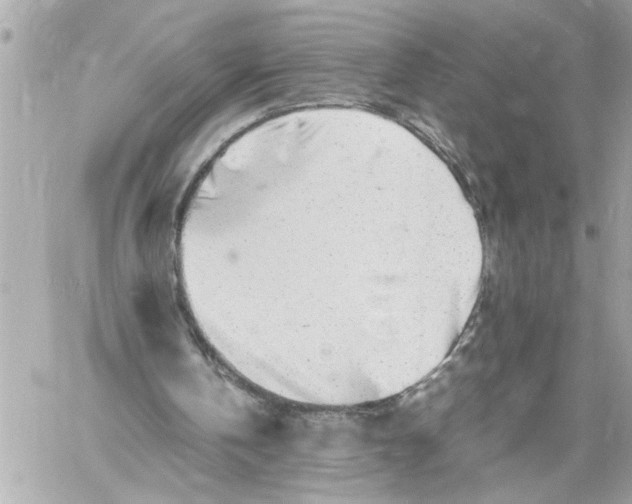 X0000059850146200511111820