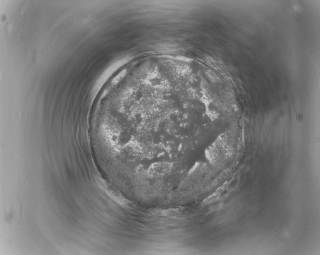 X0000059850147200511111820