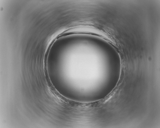 X0000059850148200511111820