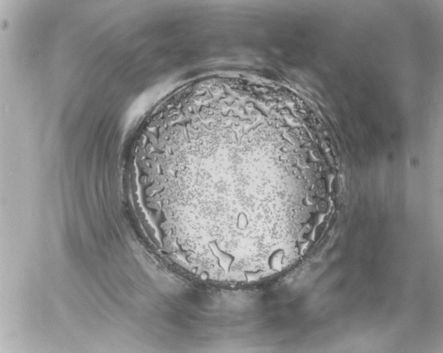 X0000059850149200511111820