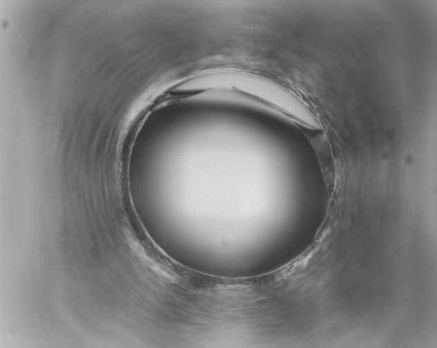 X0000059850150200511111820