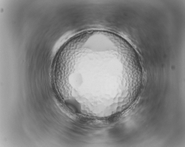 X0000059850151200511111820