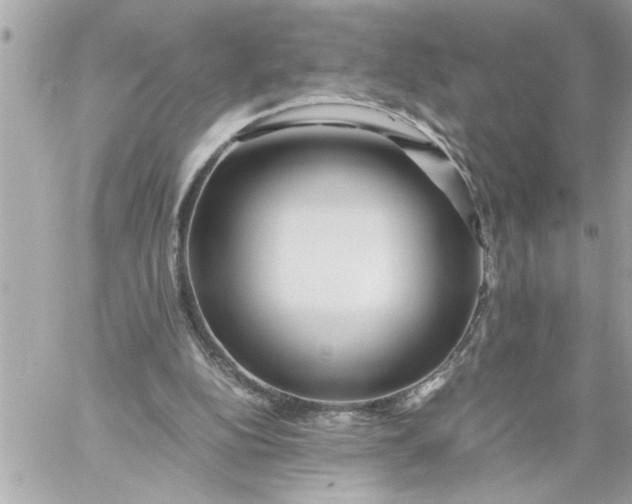 X0000059850152200511111820