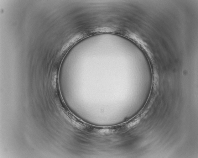 X0000059850153200511111820