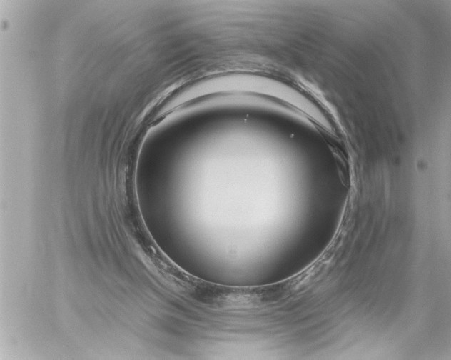 X0000059850154200511111820