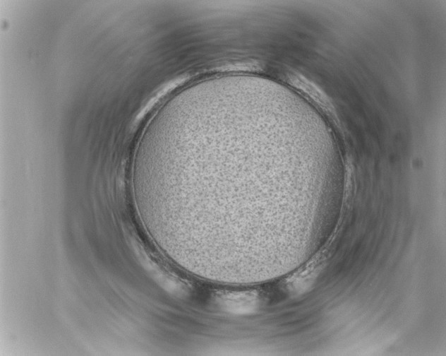 X0000059850155200511111820