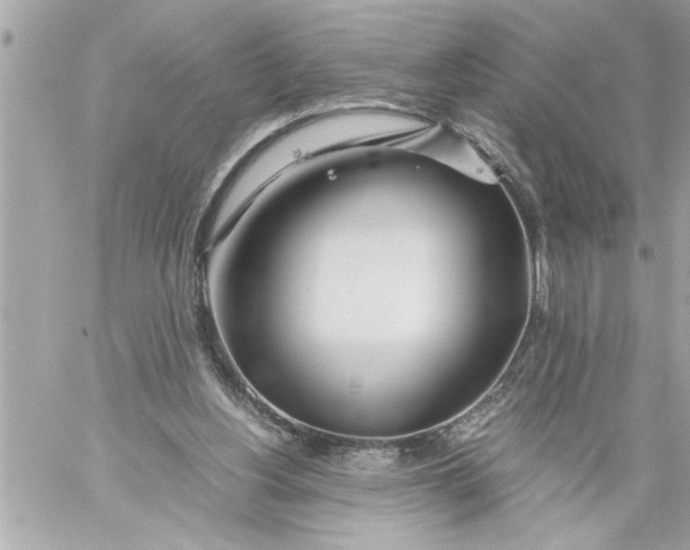 X0000059850156200511111820