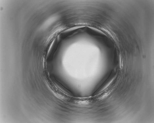 X0000059850157200511111820