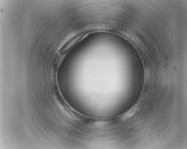 X0000059850158200511111820