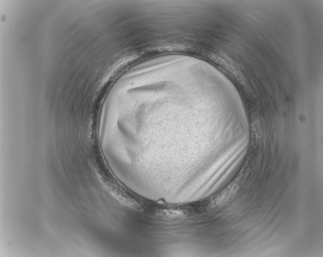 X0000059850159200511111820