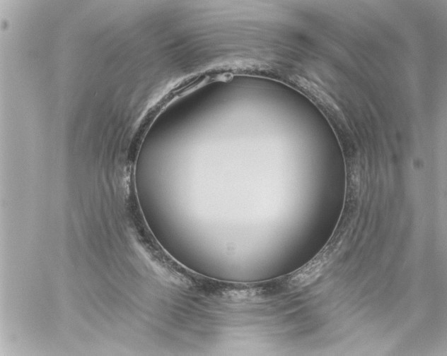 X0000059850160200511111820