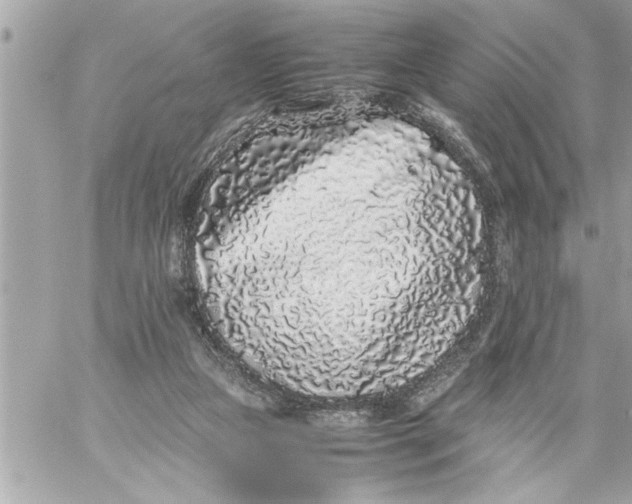 X0000059850161200511111820