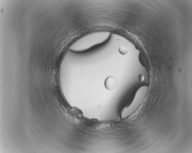 X0000059850162200511111820