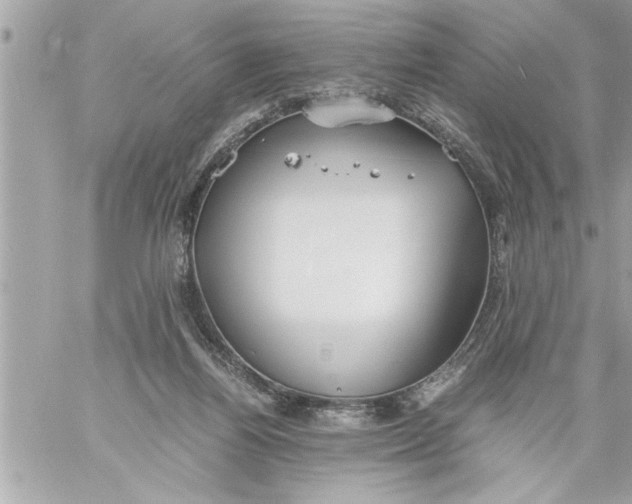 X0000059850164200511111820