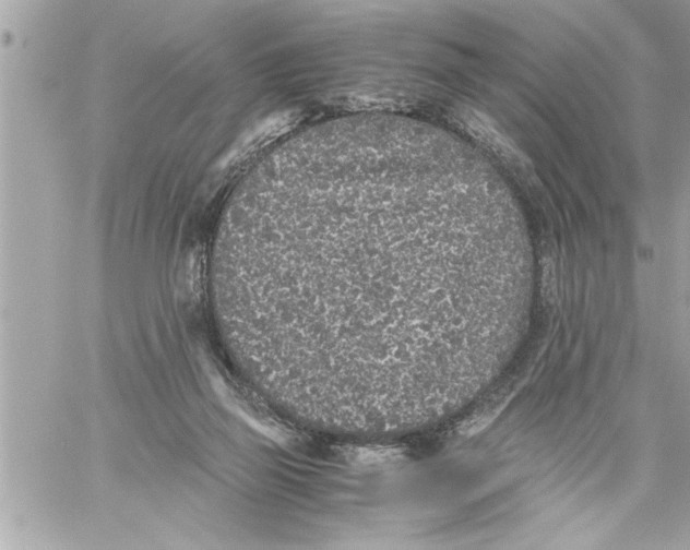 X0000059850165200511111820