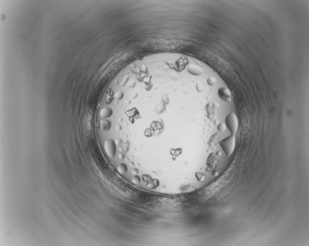 X0000059850166200511111820