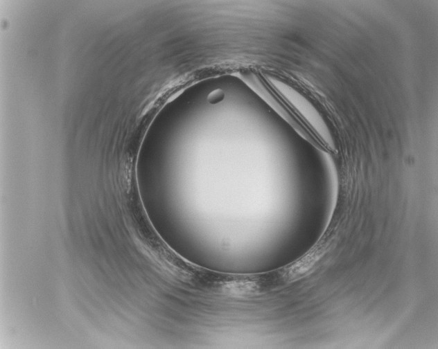 X0000059850168200511111820