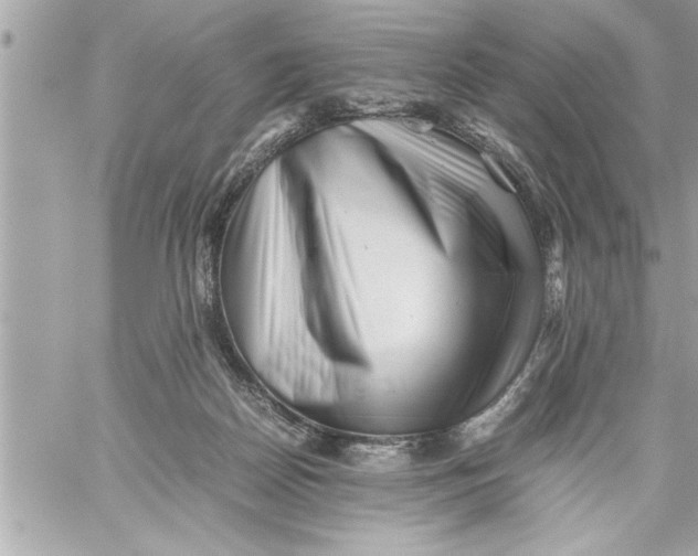 X0000059850170200511111820