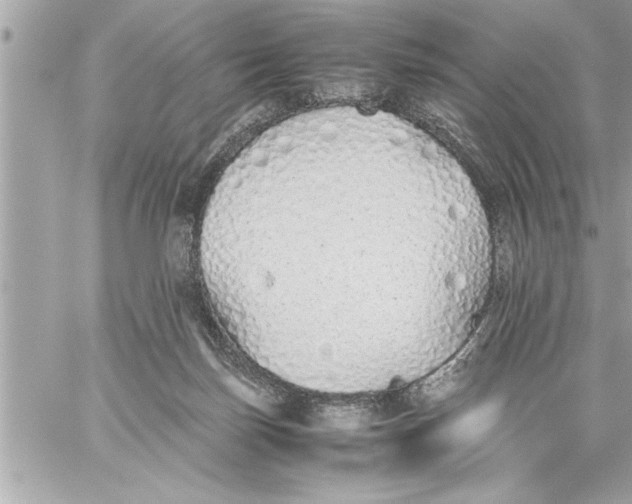 X0000059850171200511111820