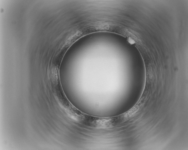 X0000059850172200511111820