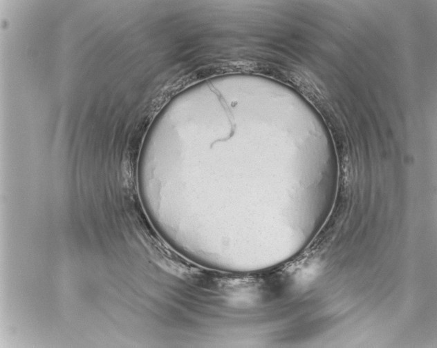 X0000059850173200511111820