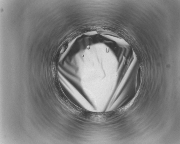 X0000059850174200511111820