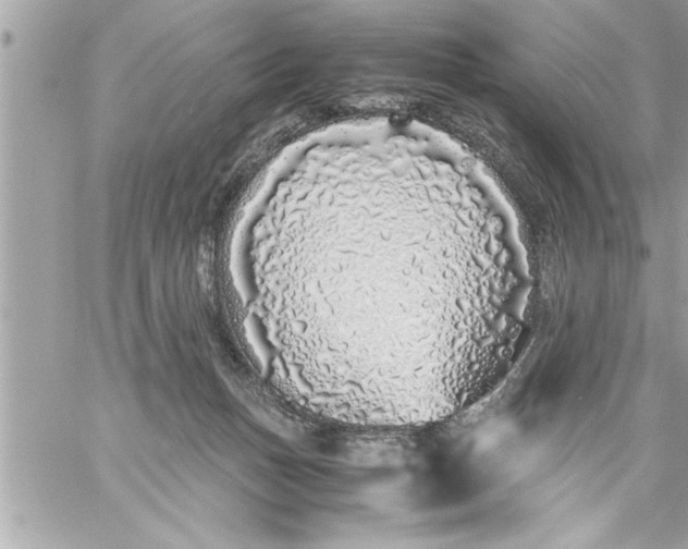 X0000059850175200511111820