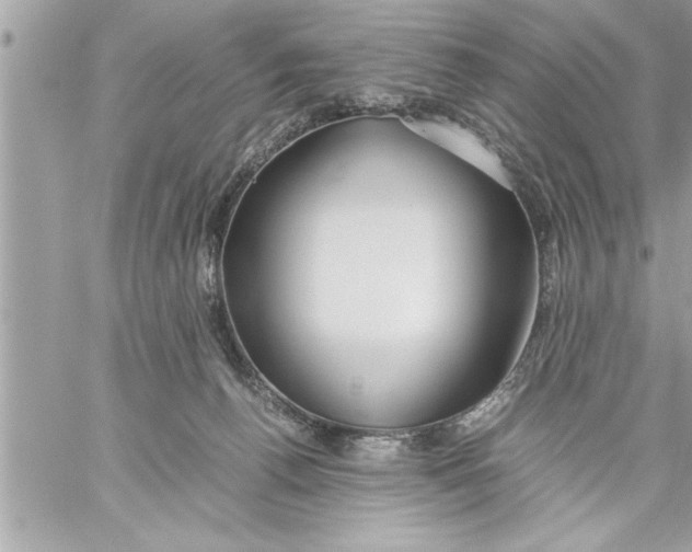 X0000059850176200511111820