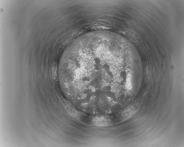 X0000059850177200511111820